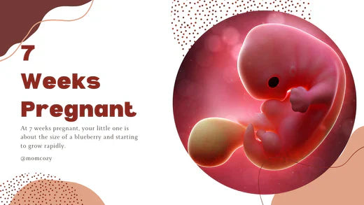 7 Weeks Pregnant: What to Expect