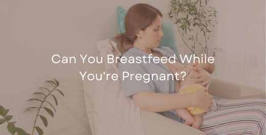 Can You Breastfeed While You're Pregnant?