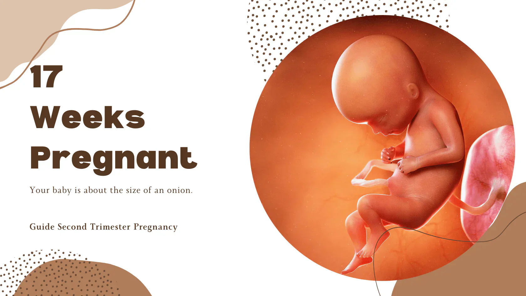 17 Weeks Pregnant