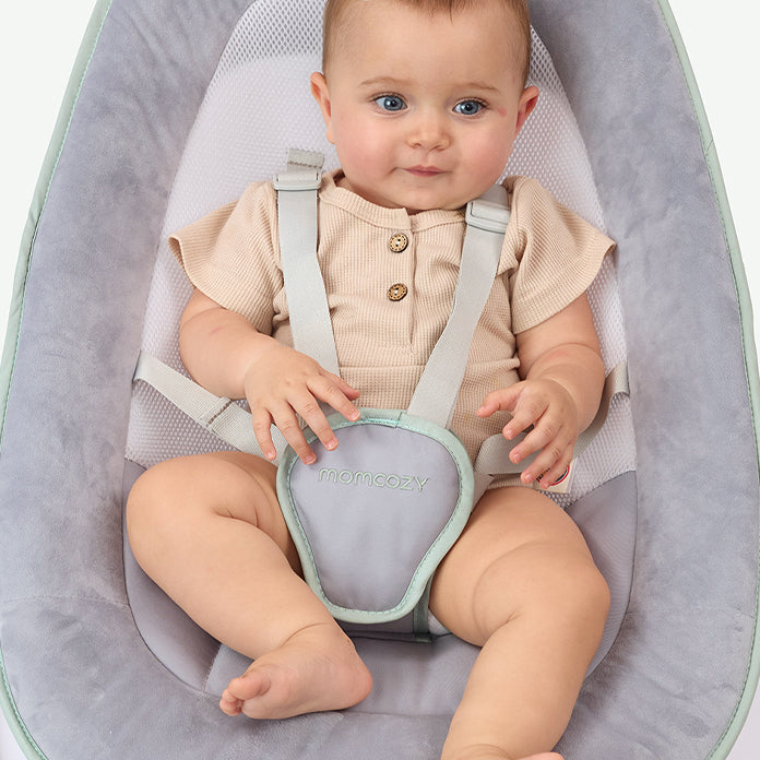 5-Point Harness