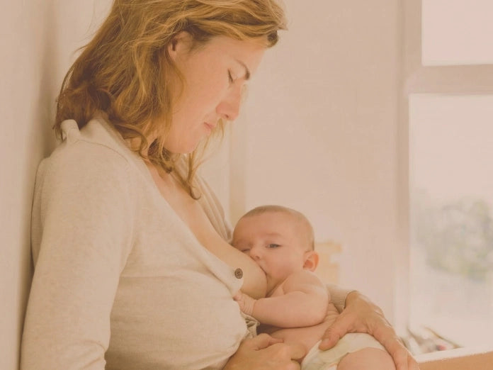 Maternity Pillow WifeItem PC Image