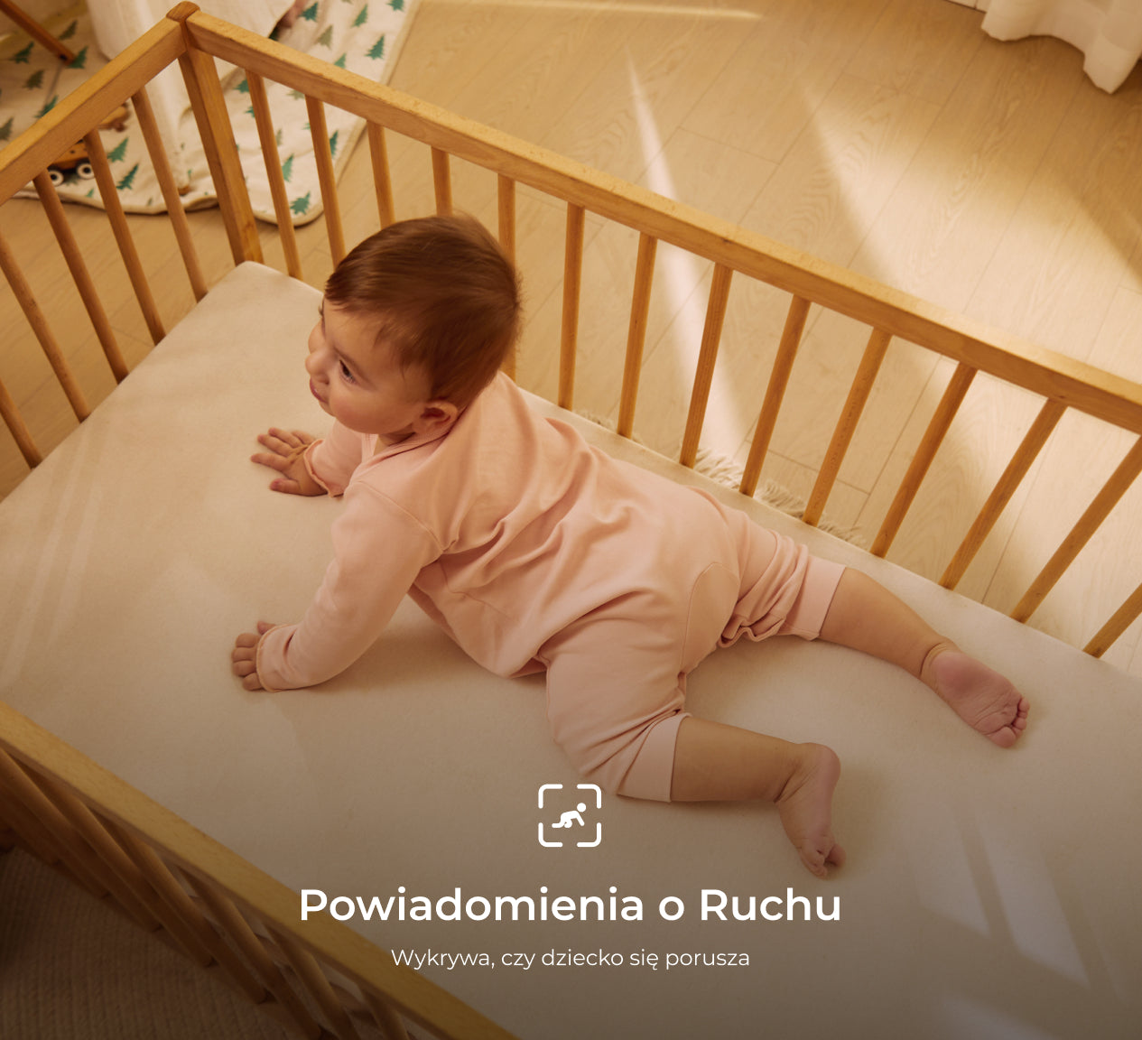 Translation missing: pl.accessibility.image_fallback