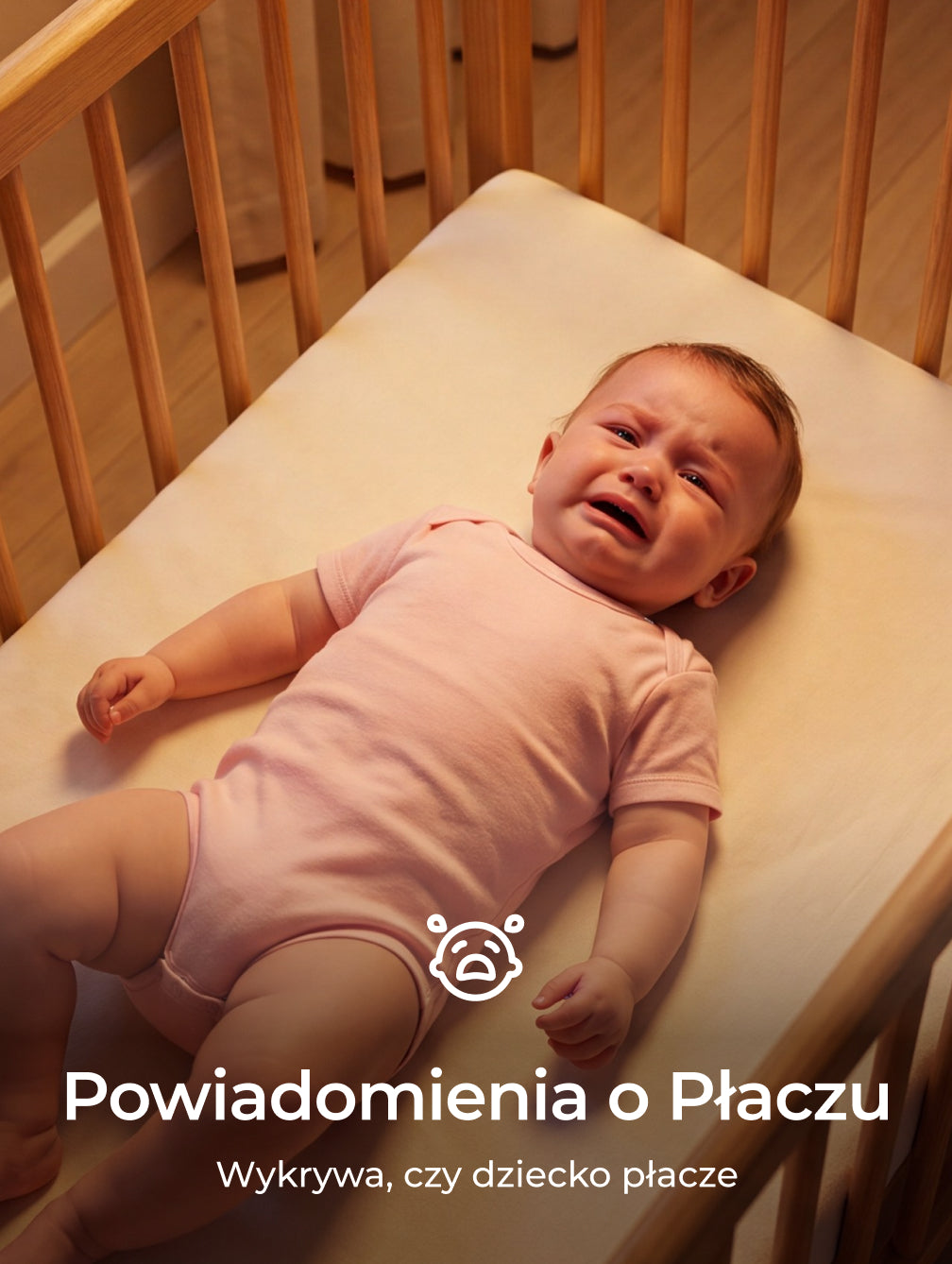 Translation missing: pl.Translation missing: pl.accessibility.image_fallback