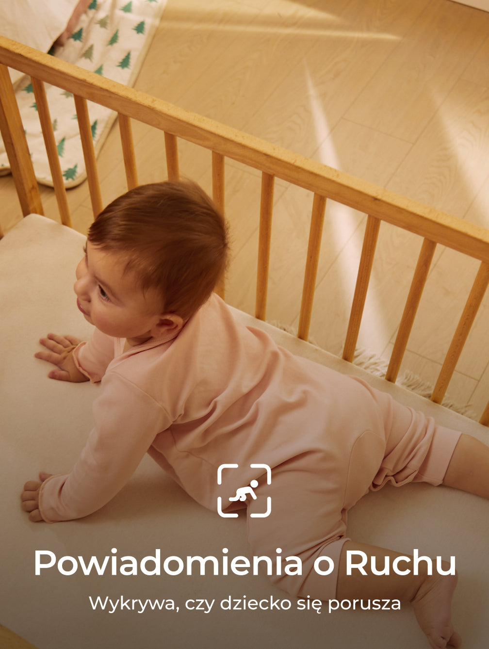 Translation missing: pl.Translation missing: pl.accessibility.image_fallback